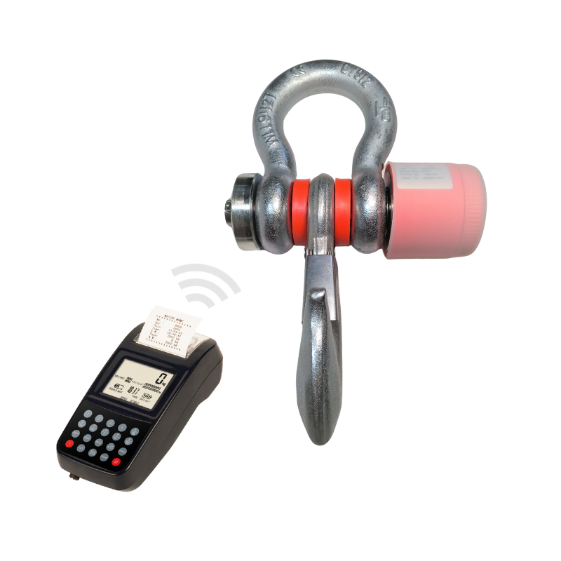 Indicateur à distance avec imprimante crochet peseur C6