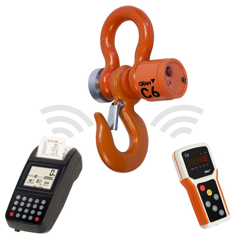 Indicateur à distance avec imprimante crochet peseur C6