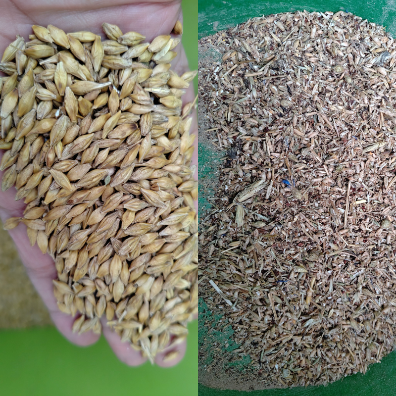 ERA5.1 Trieur aérodynamique équipé ventilateur haute puissance