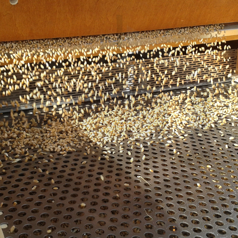 Nettoyeur à grains S-800 SPECIAL