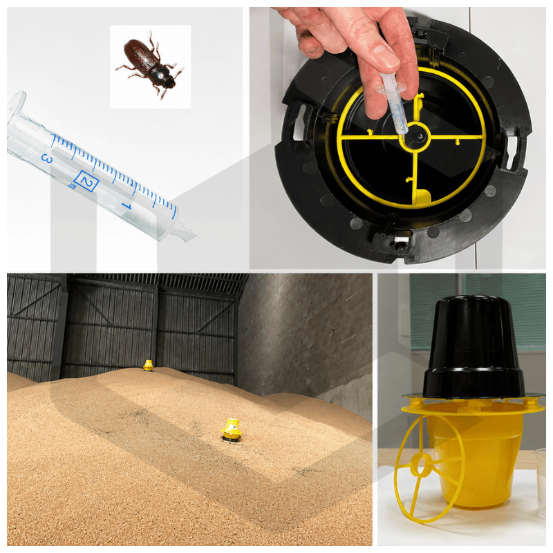 Piège à insectes utilisation stockage à plat et cellules pour utilisation avec phéromones