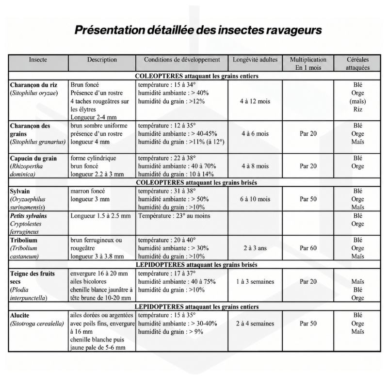 Piège de sol utilisation bâtiment de stockage pour phéromones