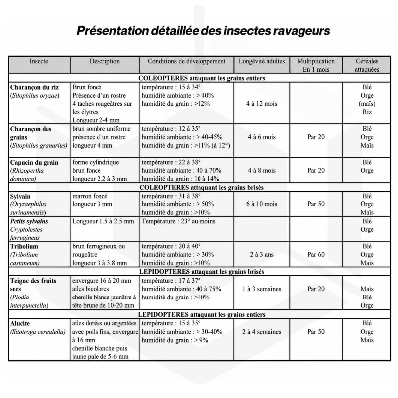 Pack de base stockage composé de 4 pièges et 4 doses phéromones