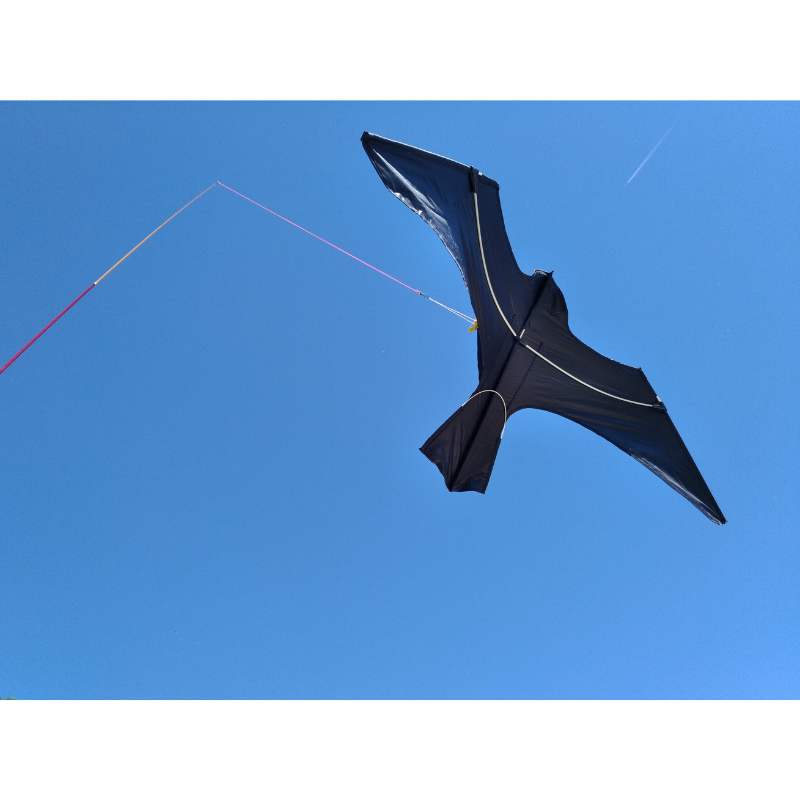 Cerf volant seul pour KIT Scarybird